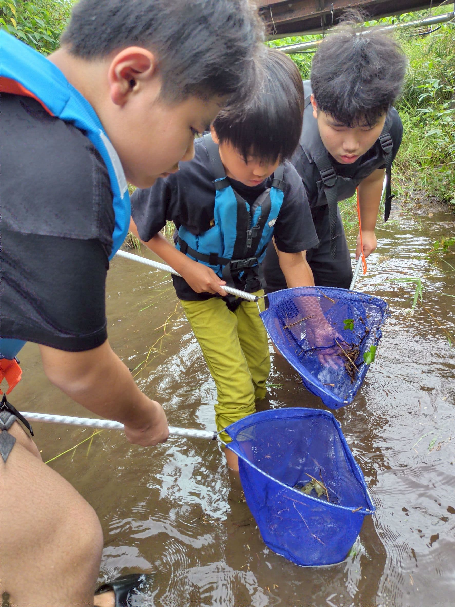 川で生き物探し