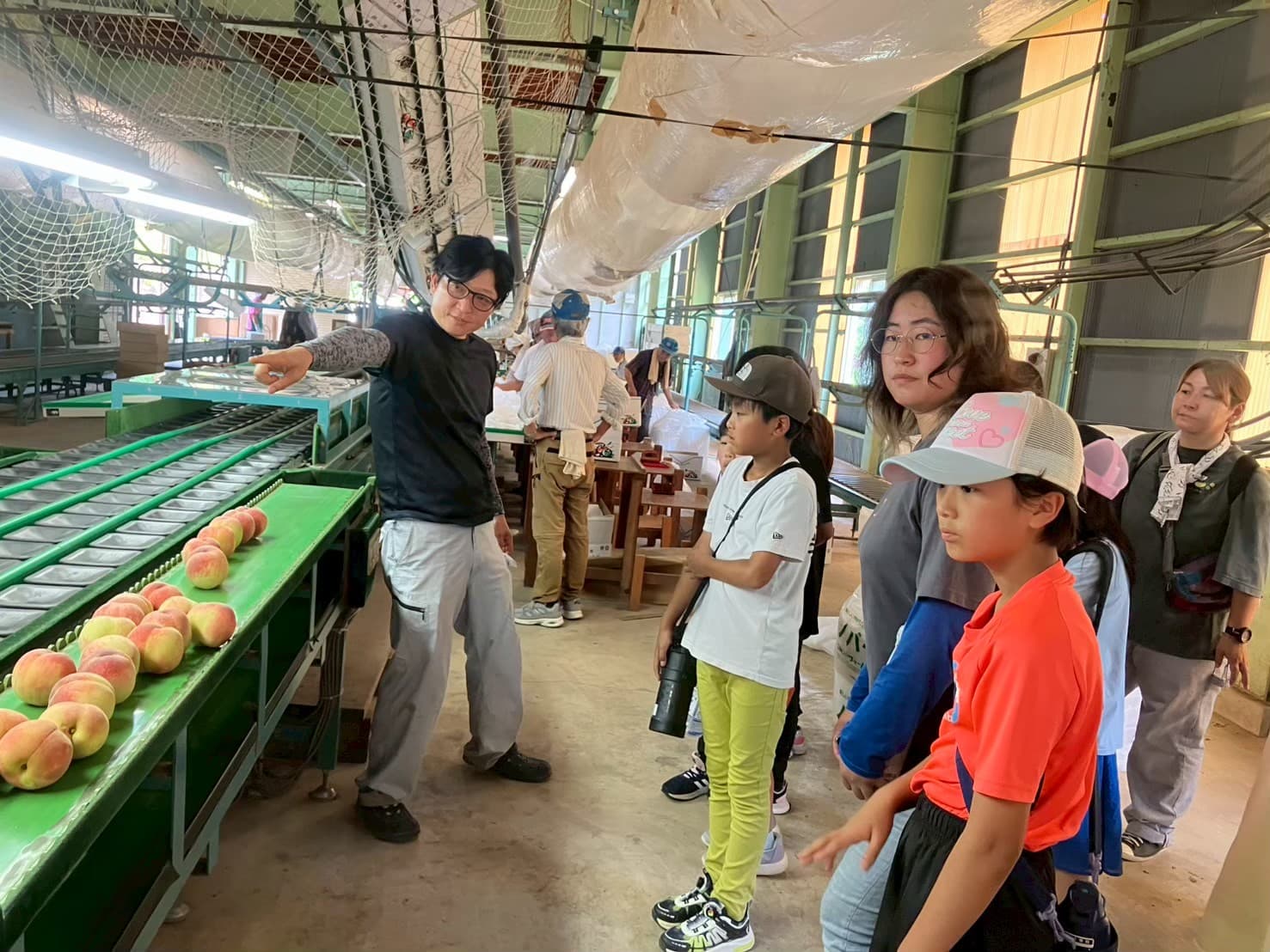 選果場見学